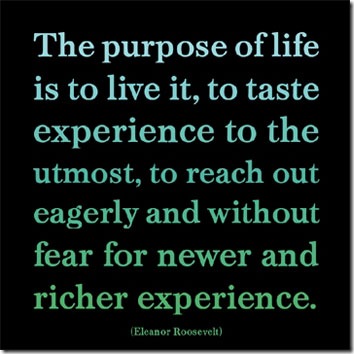 life-purpose-poster-web